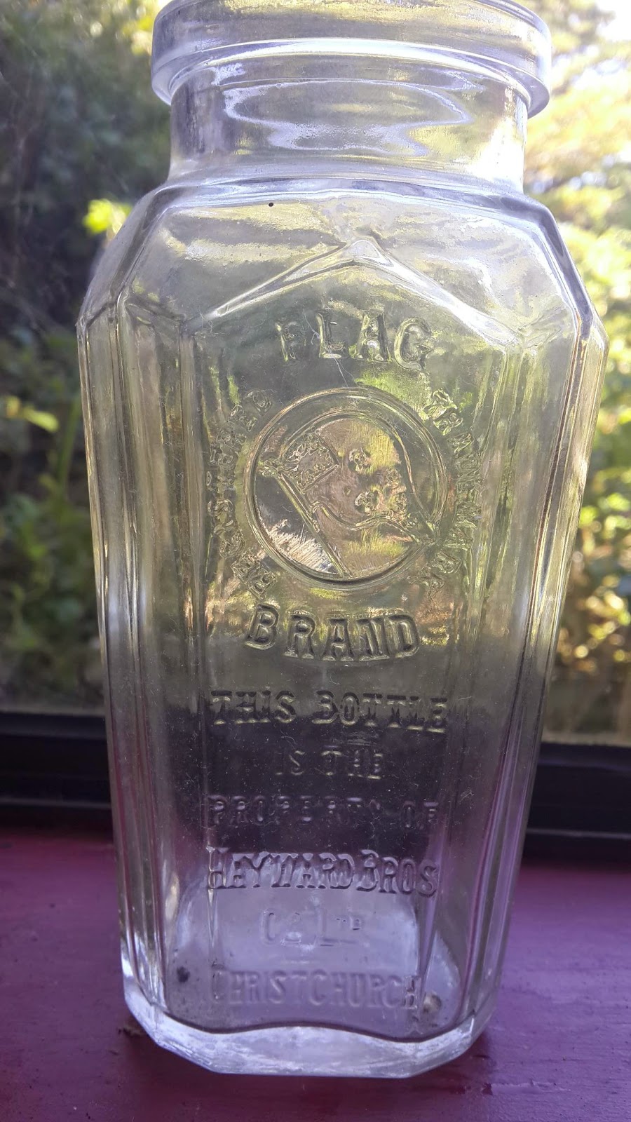 Have twins will travel Old Nz glass bottles