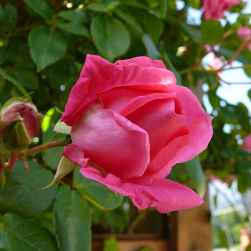 Hd-177034-ascw177034