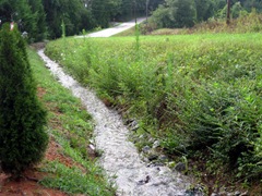 Drainage stream 1