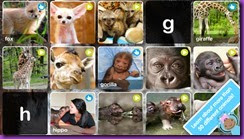 zooborns zooborns