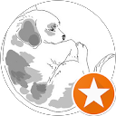 Eunjung Jee profile picture