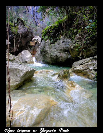 Color turquesa de las aguas Color turquesa de las aguas
