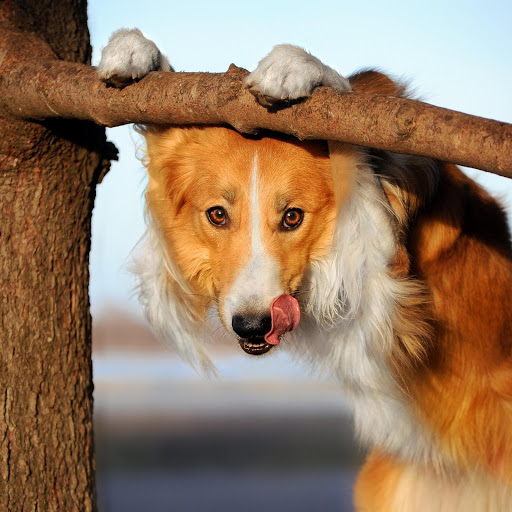 Hd-156637-ascw156637