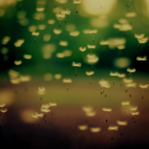 Hd-143304-ascw143304