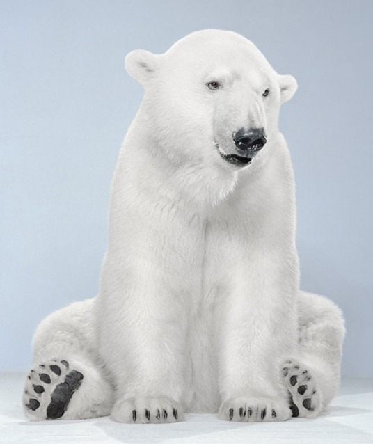 [clip_image001%255B3%255D.jpg]