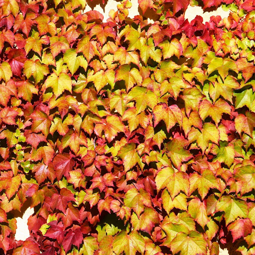 Hd-142759-ascw142759