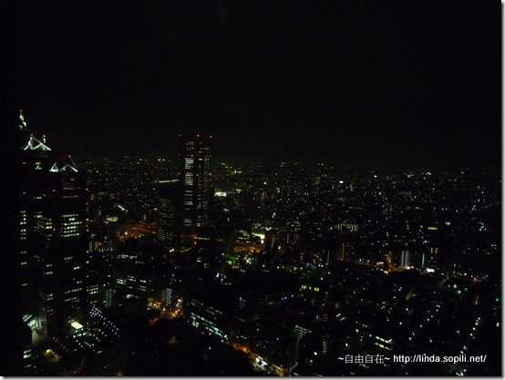 東京都廳-免費夜景