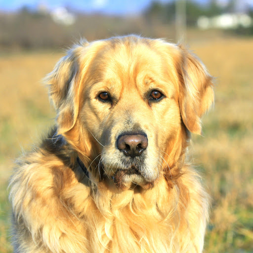 Hd-183065-ascw183065