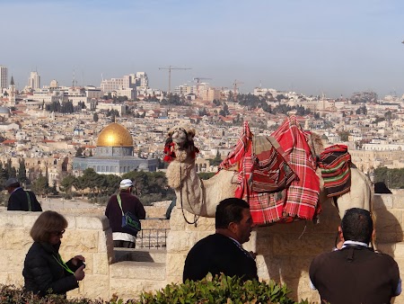 Imagini Palestina: Panorama Ierusalimului