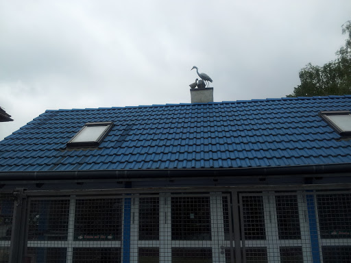 Blaues Dach mit Viechern