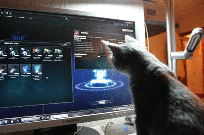The Gamer Cat is playing with Perpetuum Online