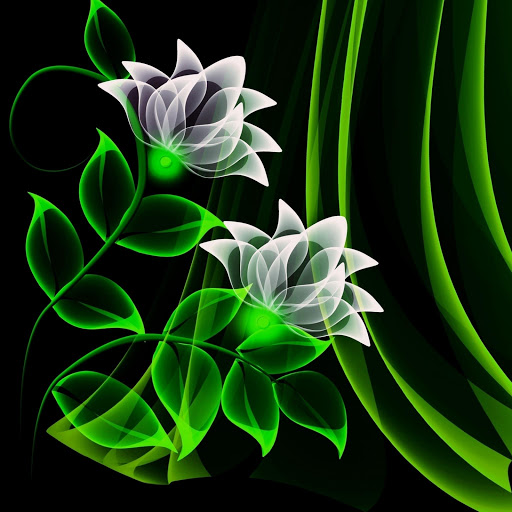 Hd-175146-ascw175146