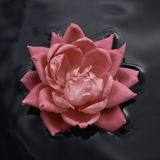 Hd-179608-ascw179608