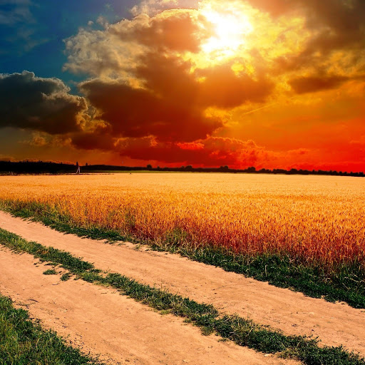 Hd-145879-ascw145879