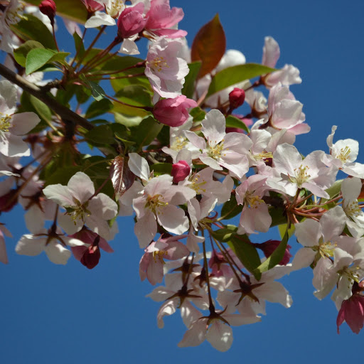 Hd-156089-ascw156089