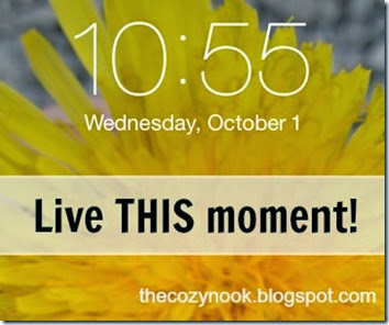 Live THIS moment - The Cozy Nook