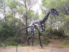 2008.09.10-024 squelette d'allosaure