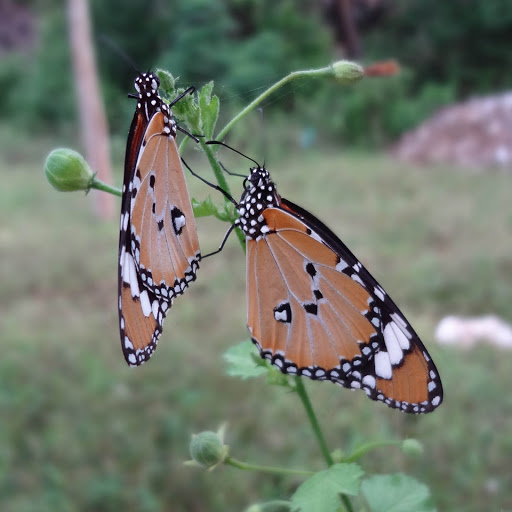 Hd-152820-ascw152820