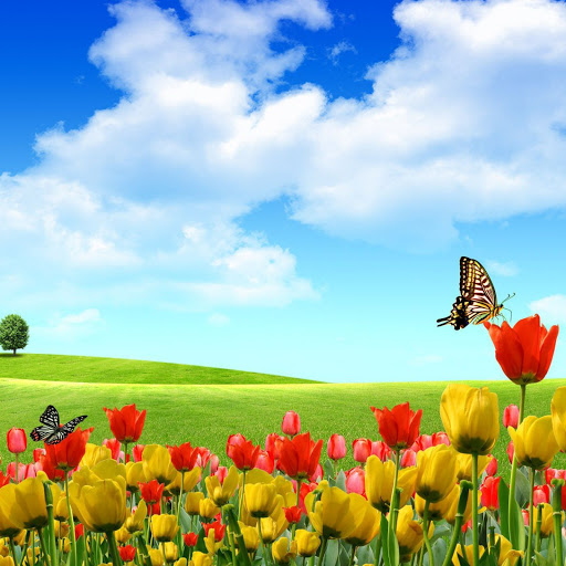 Hd-137757-ascw137757