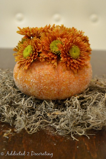 [miniature%2520pumpkin%2520vase%2520with%2520epsom%2520salt%2520before%2520picture%255B5%255D.jpg]