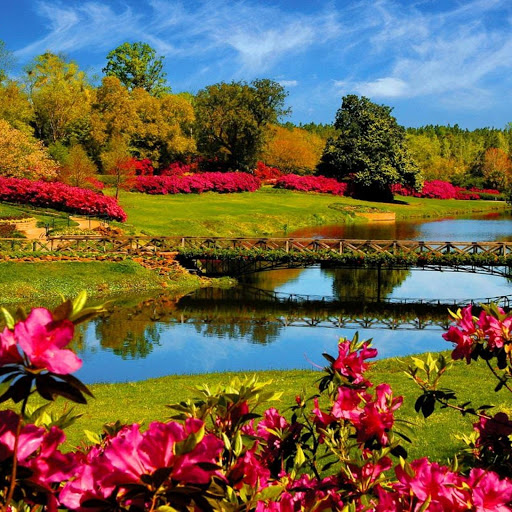 Hd-167869-ascw167869