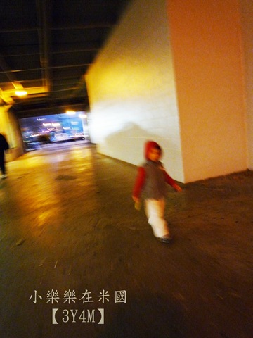 [P1080294-.jpg]