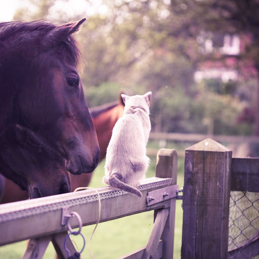 Hd-157426-ascw157426