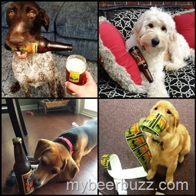 [image%255B3%255D.png]