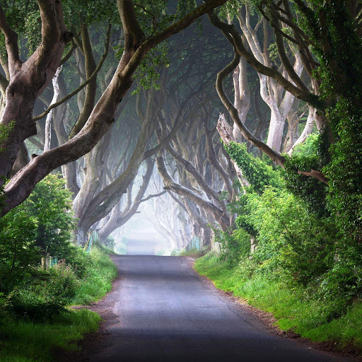 Hd-158748-ascw158748