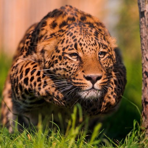 Hd-152803-ascw152803