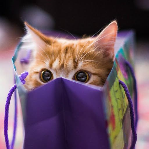 Hd-176834-ascw176834