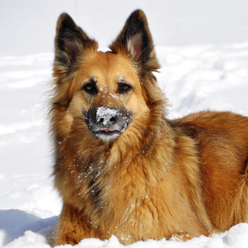 Hd-190853-ascw190853