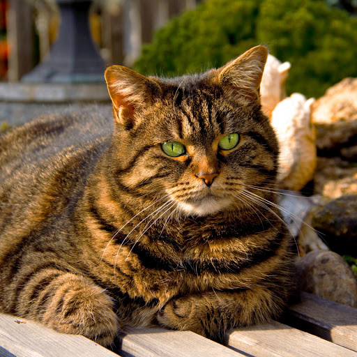 Hd-178247-ascw178247