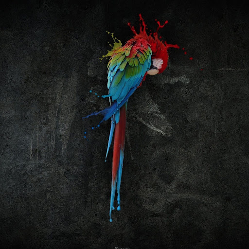 Hd-160575-ascw160575