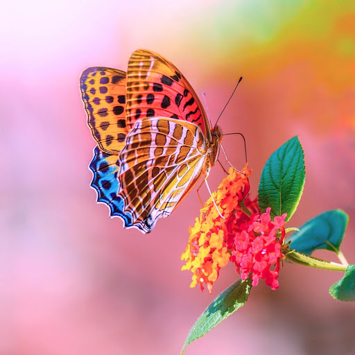 Hd-164368-ascw164368