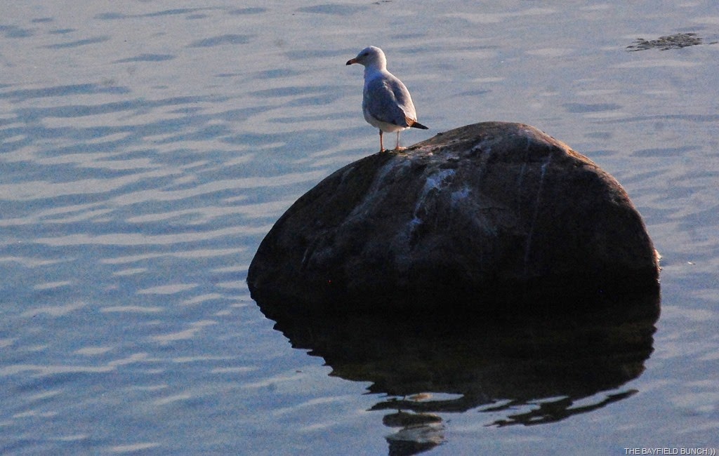 [DSC_9939%255B4%255D.jpg]