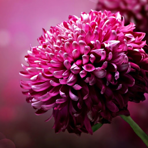 Hd-134494-ascw134494