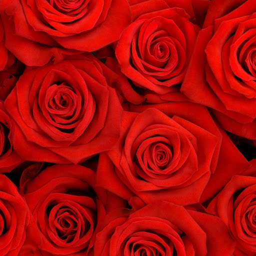 Hd-144925-ascw144925