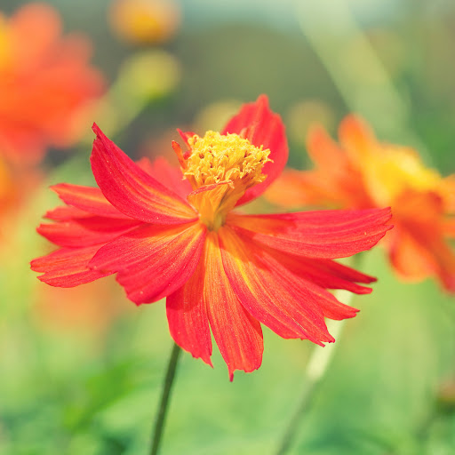 Hd-163876-ascw163876