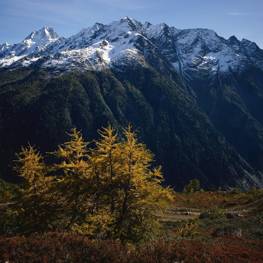 Hd-132105-ascw132105