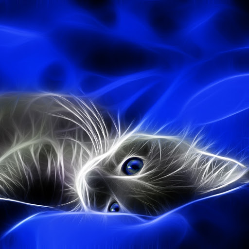 Hd-184869-ascw184869