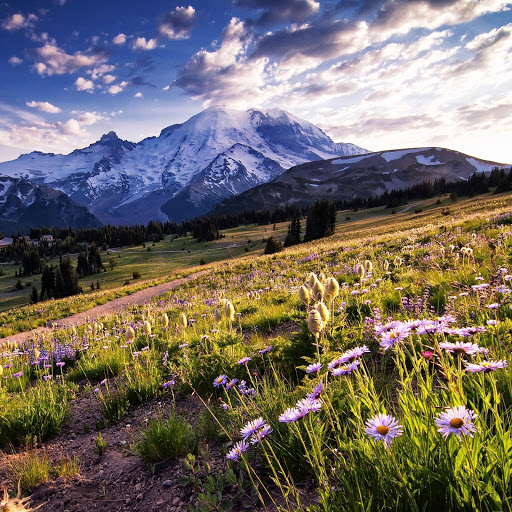 Hd-174684-ascw174684