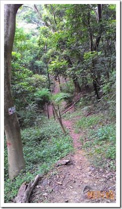 1106 103 - 鶯歌石登山步道