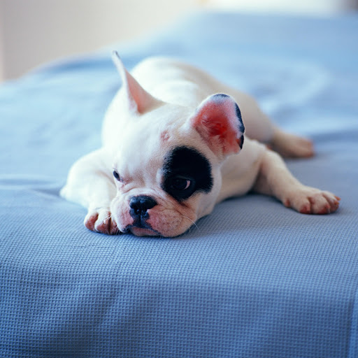 Hd-167232-ascw167232