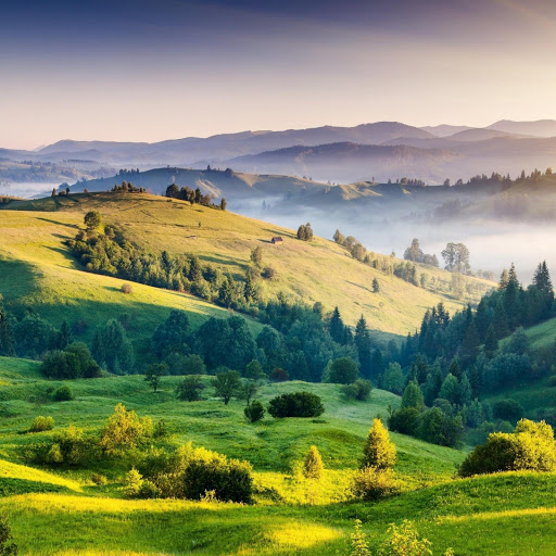 Hd-170297-ascw170297