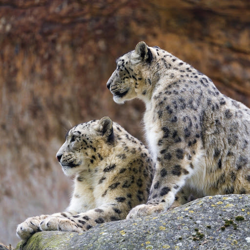 Hd-159975-ascw159975