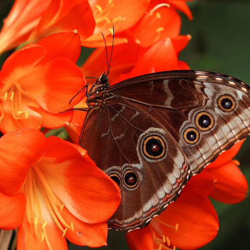 Hd-139876-ascw139876