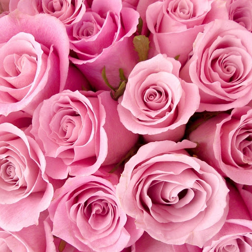 Hd-183360-ascw183360