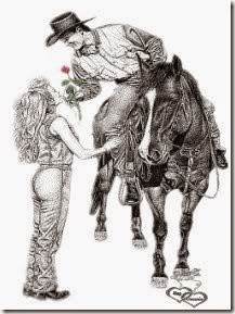 1domar caballo cowboys (15)