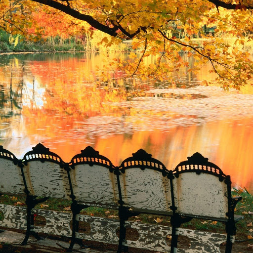 Hd-135645-ascw135645